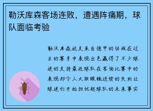 勒沃库森客场连败，遭遇阵痛期，球队面临考验