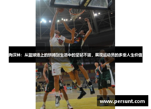 陶汉林：从篮球场上的拼搏到生活中的坚韧不拔，展现运动员的多重人生价值
